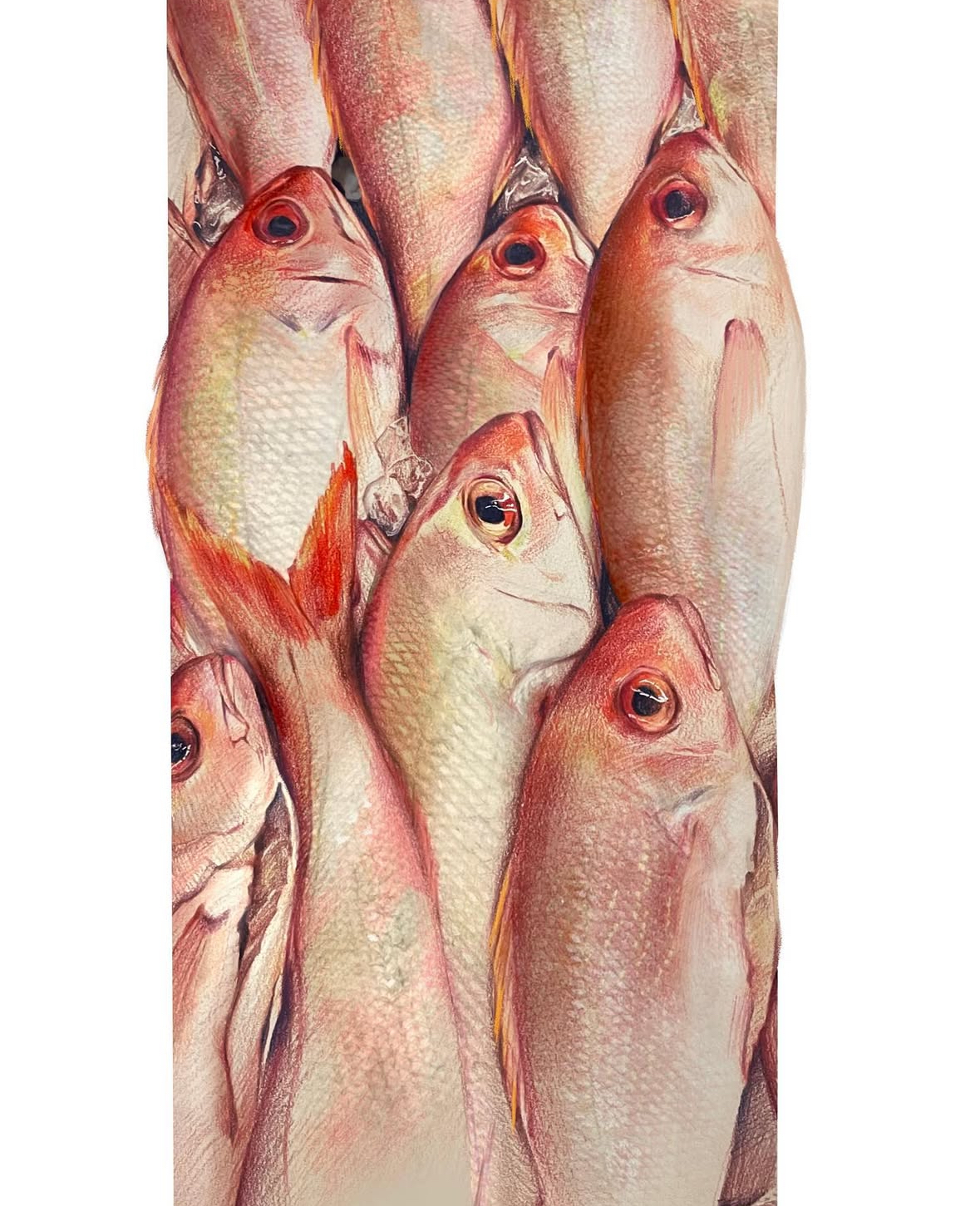 A vertical colored-pencil composition of overlapping pink and red fish